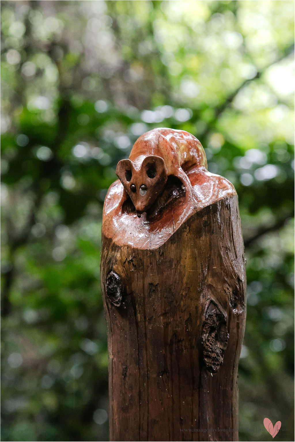 Art Gallery Montville