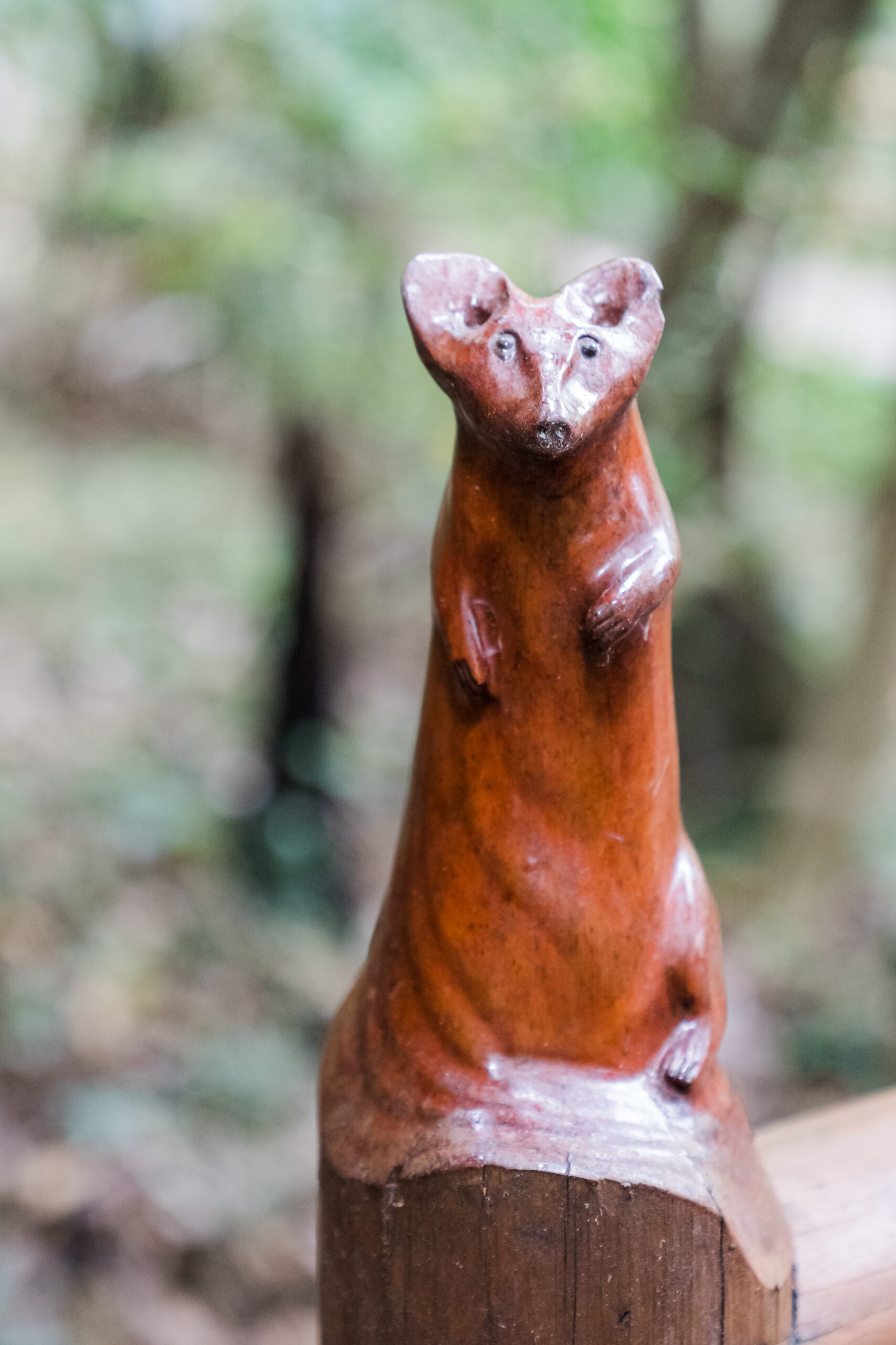 Art Gallery Montville